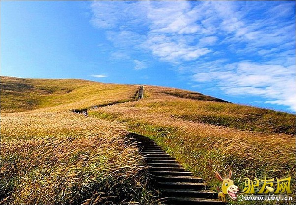 �����书ɽ (23).jpg